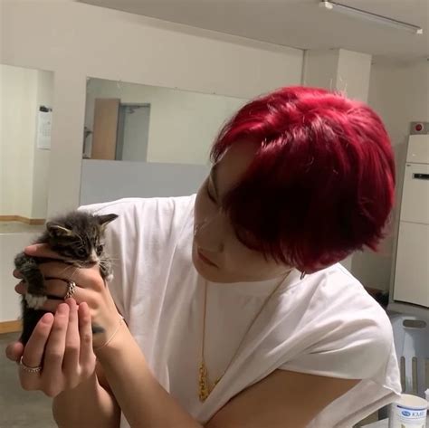 Jungwon talking to a kitten 😭 Manado, Korean Boys Ulzzang, My Only Love ...