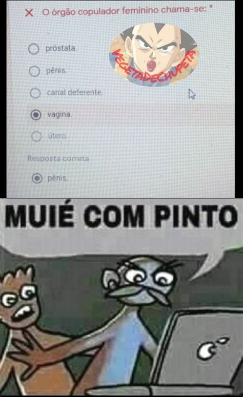 Mulher Com Pinto Meme