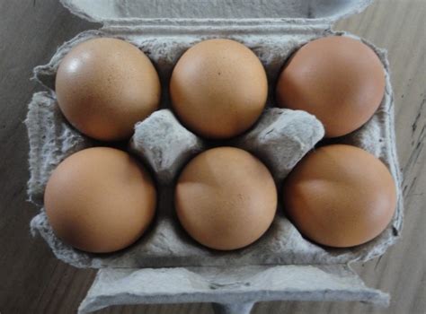 Eminent Eggs | Ruth's Reflections