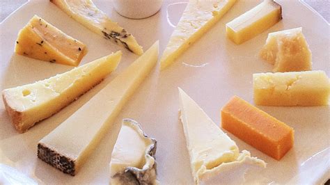 cheese cheese cheese cheese
