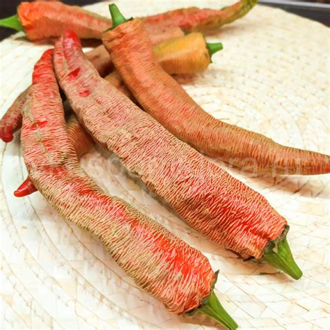 Купить семена перца острого сорта Слоновий (Elephant pepper)