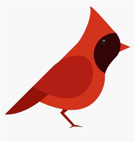 Northern Cardinal Vector Graphics Bird Clip Art - Cardinal Vector Png ...