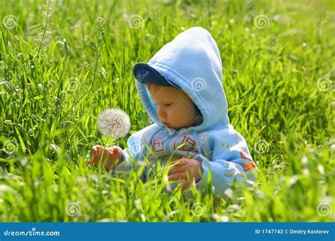 Child explore nature stock photo. Image of meadow, happiness - 1747742