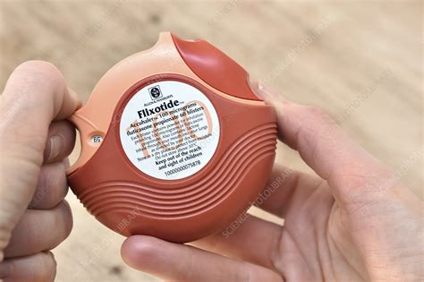 Accuhaler asthma inhaler - Stock Image - C047/0987 - Science Photo Library