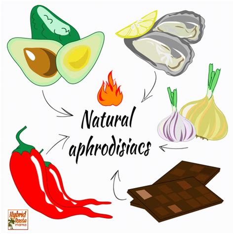 definitive guide  natural aphrodisiac foods herbs  essential