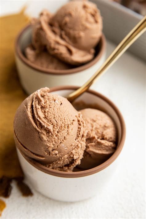 Dairy-Free Chocolate Ice Cream (Vegan) - The Roasted Root