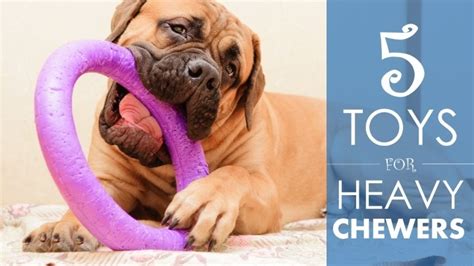 Unleash Canine Fun: Top 10 Most Durable and Indestructible Dog Toys of ...