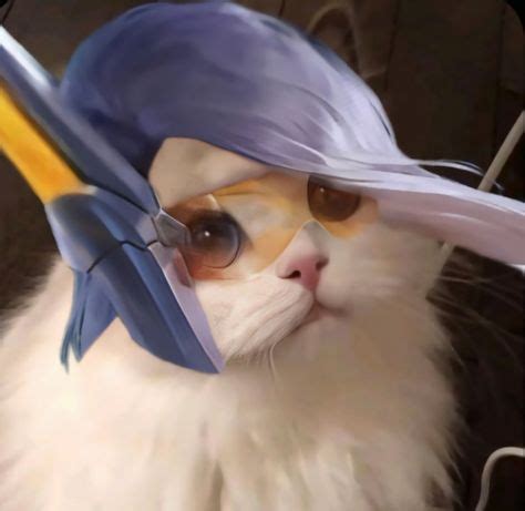 mlbb cat pfps ideas legend cat mobile legends mobile