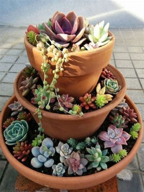 Stunning Ideas for a Small Succulent Garden