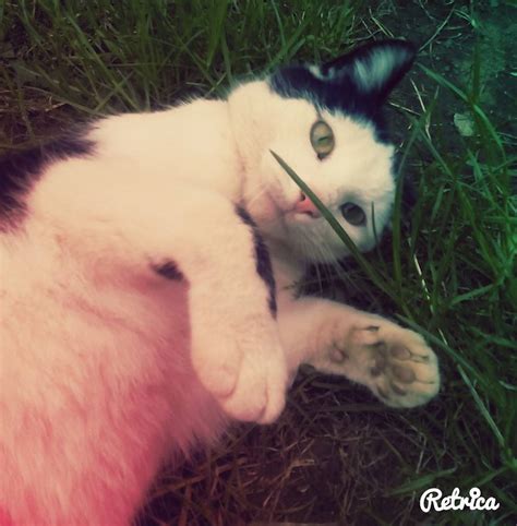Láska :3