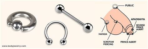 The Most Popular Male Genital Piercings — And What They Reveal About ...