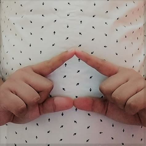 bisindo sign languange object detection dataset  bambang skubidu