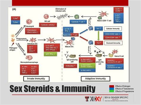 PPT - Sepsis PowerPoint Presentation, free download - ID:8813168