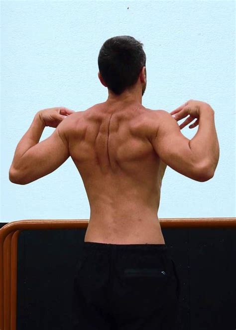 Shoulder and scapula rotations - Exercise level beginner