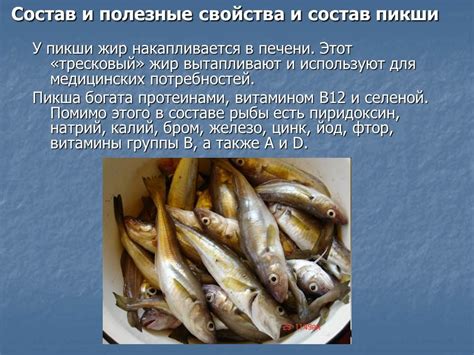 Рыба Пикша » Привет Студент!