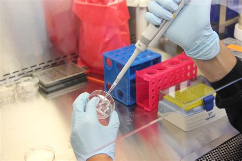 science lab laboratory  photo  pixabay