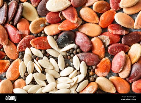 top view of several types of seeds: pumpkin seeds, poppy seeds, bean ...