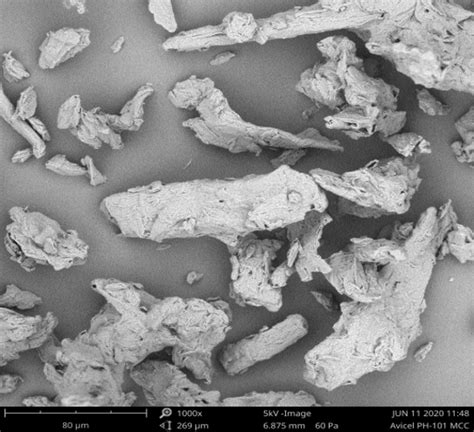 Microcrystalline Cellulose and the Pharmaceutical Industry - Pharma ...