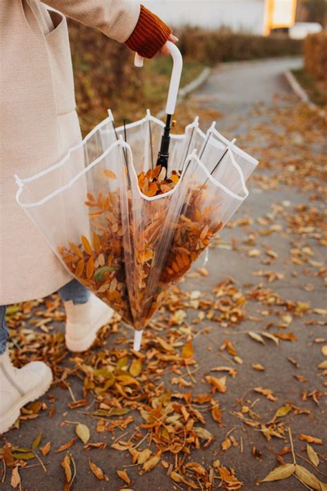 Осень, атмосфера осени | Autumn photography, Autumn inspiration, Autumn ...