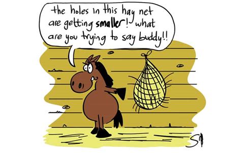 6 horsey cartoons to make you laugh - Horse & Hound