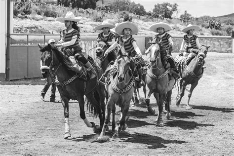 Reverse Cowgirl Photos, Download The BEST Free Reverse Cowgirl Stock