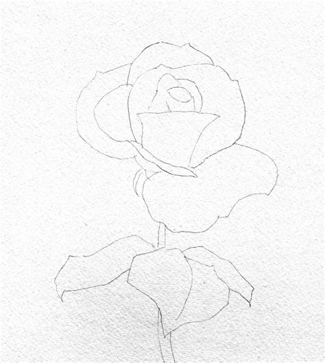 Barbara Fox Art Studio: Painting Tutorial- "Perfectly Pink" rose