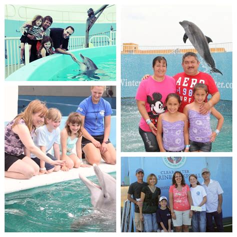 Get our family membership and receive FREE admission to Clearwater Aquarium, free or discounted