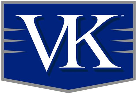 I will give you 120 VK Joins only for $1 - SEOClerks