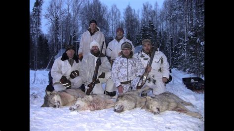 Охота на волка 2020 Winterjagd auf Wolf - YouTube