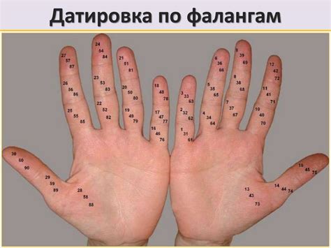 Хиромантия. Датировка по фалангам - презентация онлайн