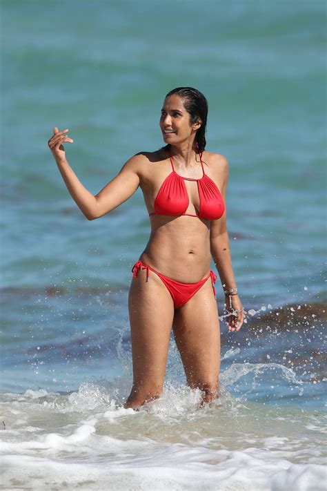 Celebrity Pokies Hollywood Celebrities, Hottest Celebrities, Beautiful