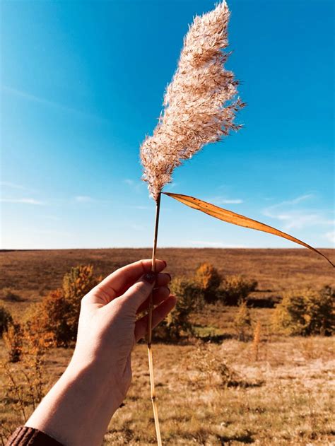 Село. Дім. Україна.