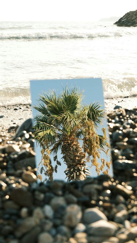 306.185+ Fotos y Imágenes de Fotos+de+mujeres+tetonas+desnudas Gratis