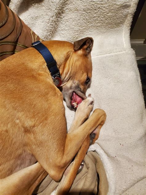 She is beauty. She is grace. Got her foot stuck on her face. | Scrolller