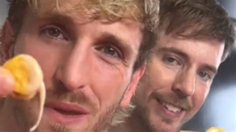 cheese drippymoldy bruh lunchly tiktok meme compilation