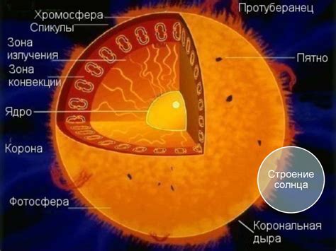 Эволюция звезд. Внутреннее строение Солнца, звезд главной ...