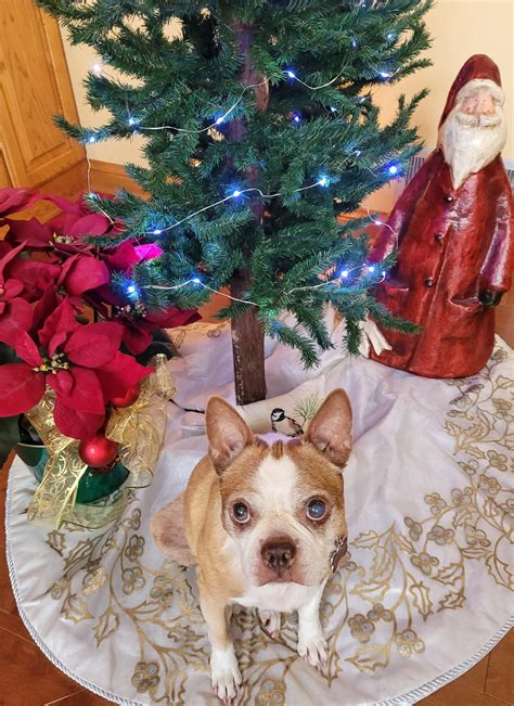 Professional Funeral and Cremation Care in Pewaukee, Wisconsin 25