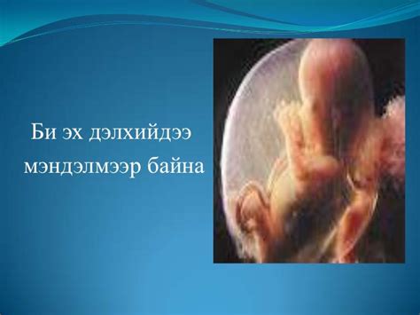 үр хөндөлт