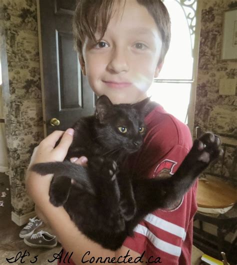 It's All Connected: Raising Feral Kittens