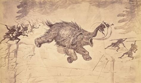 Mystery behind extinction of large animals 50,000 years ago is SOLVED ...