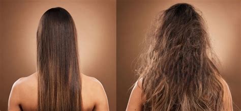 Hair Botox Treatment in Jaipur | Benefits, Price Table | The Headman Salon