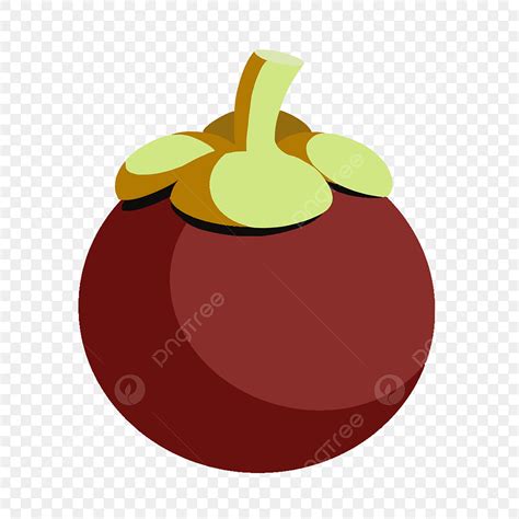 mangostan verano purpura ilustracion png mangostan verano purpura