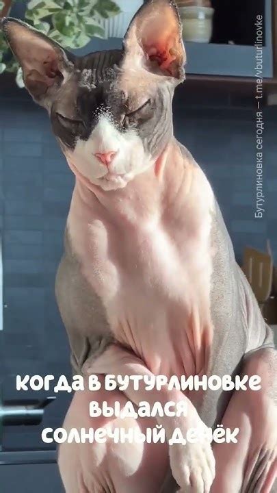 Когда в Бутурлиновке выдался солнечный денек #бутурлиновка #лето2023 ...