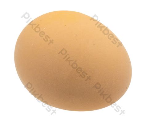 Oval Egg PNG Images | RAW Free Download - Pikbest