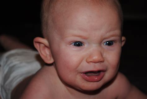 day   life  evolution   cry