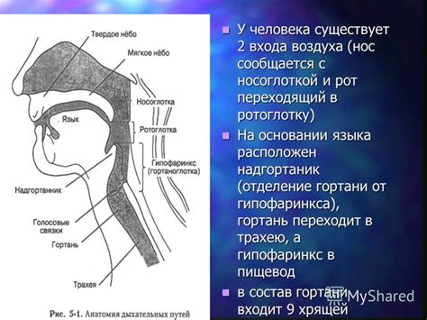 Презентация на тему: "МИНИСТЕРСТВО ЗДРАВООХРАНЕНИЯ И СОЦИАЛЬНОГО ...