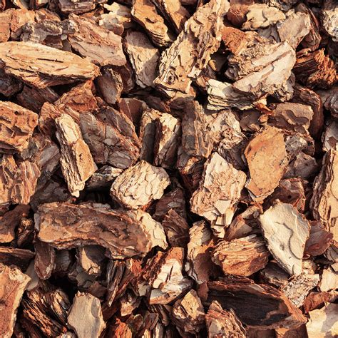 Large Wood Bark Chips (1 Yard) | Earth and Turf Landscaping Edmonton
