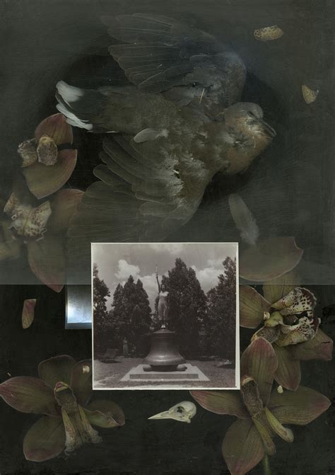 Lynne Altuvilla Obituary: Celebrating Her Life and Memory 5