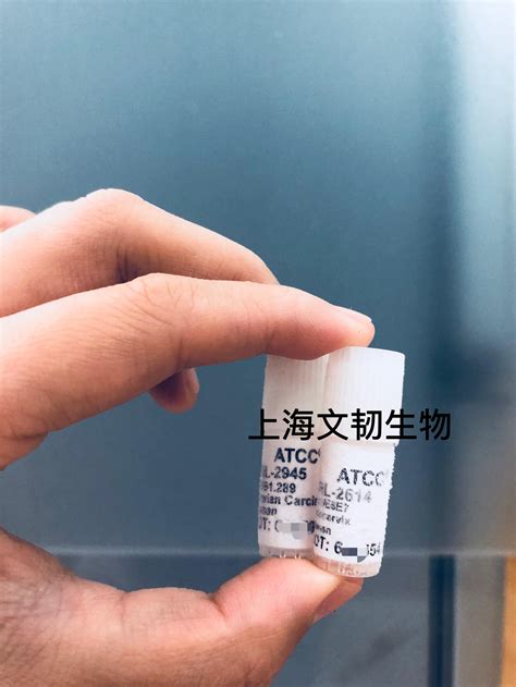 ATCC细胞/原代细胞价格,详情介绍-960化工网 – 960化工网