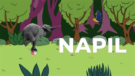 NAPIL by Fextur